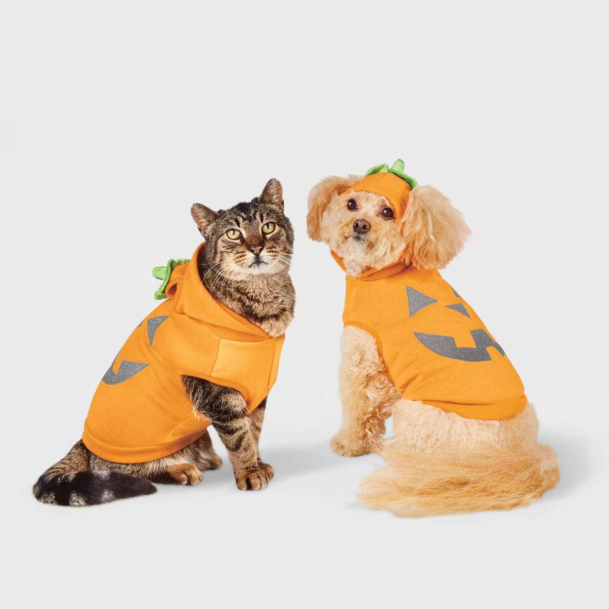 Disfraz para perro o gato de calabaza